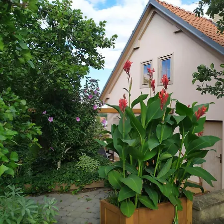 U Křížů